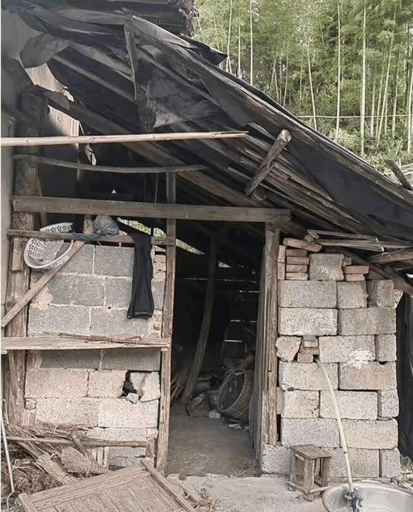 ▲ 张雪老家的窝棚
