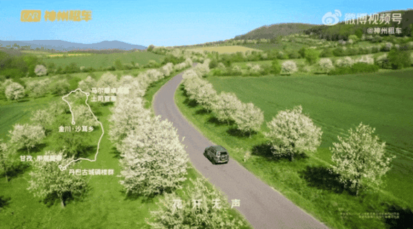 神州租车春游季