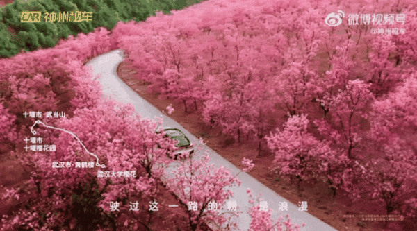 神州租车春游季