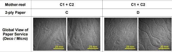 C和D的不同压花图案，图片来源：参考文献[2] 