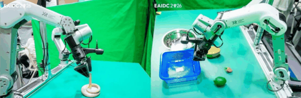 将圆环套在柱子上（左）；按指令分类水果（右）