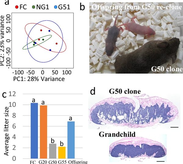 △ 图片来自《自然通讯》