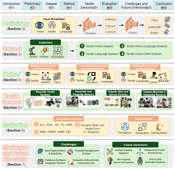 图 1. 多模态触觉融合综述的结构概述