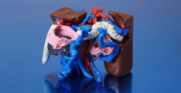 ▲多色 3D 打印的成品