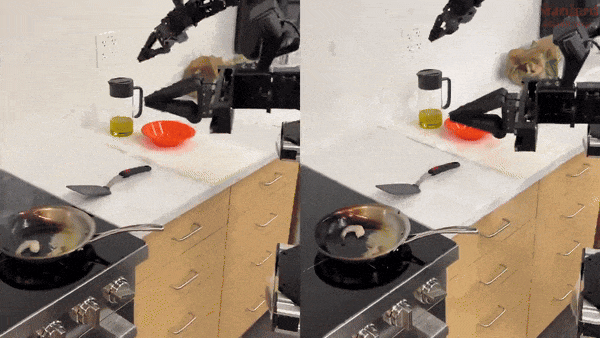 机器人：炒菜，我是外行。