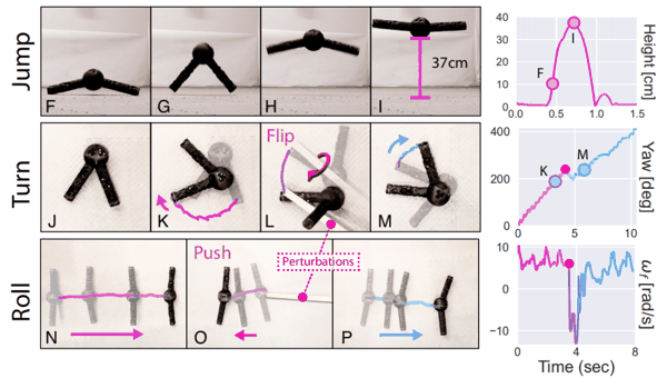 （来源：https://pnas.org/doi/10.1073/pnas.2519129123）
