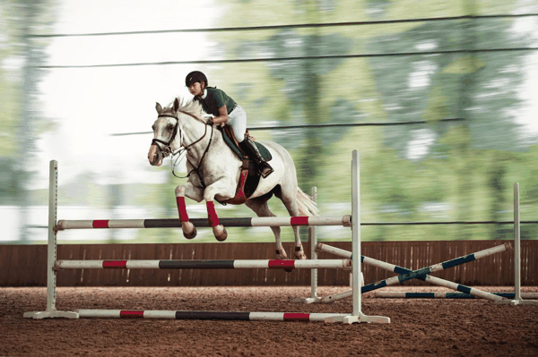 图片来源：视觉中国