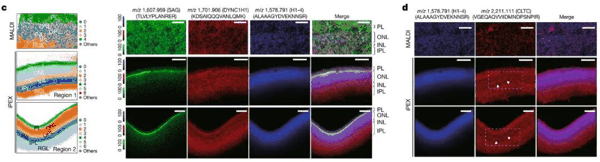 （来源：Nature）