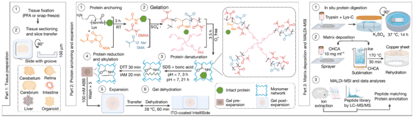 （来源：Nature）