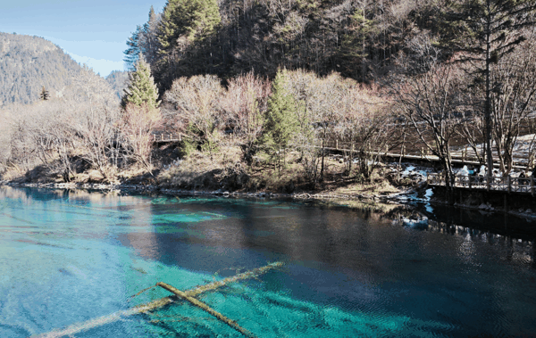 九寨沟景区，受访者供图