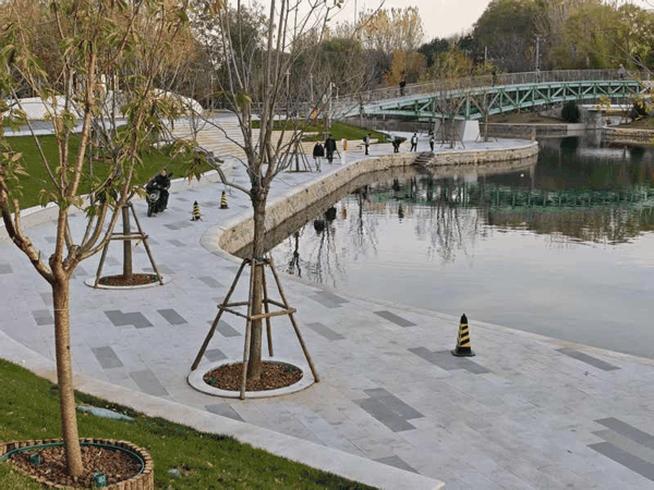 11月10日，记者来到北小河滨水空间，市民反映部分步道没有护栏，据悉该点位正在搭建浮箱码头。新京报记者 王巍 摄