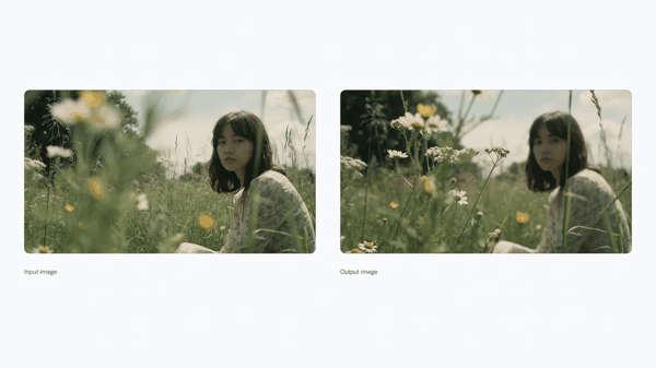 图丨改变图片焦点（来源：Google）