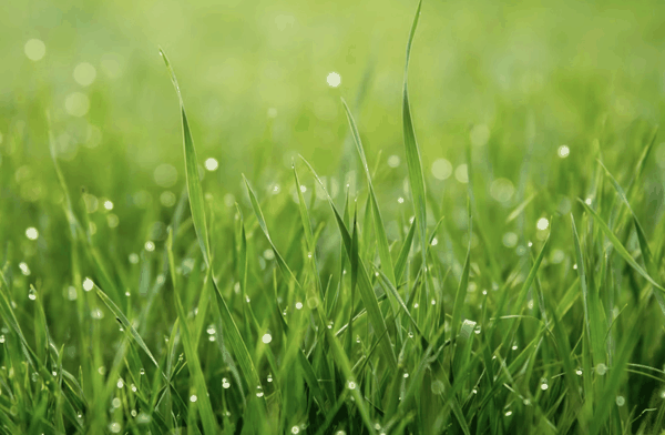 ©️深响原创 · 