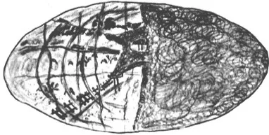 被子弹烧毁大脑，他在碎成千片的世界里活了50年