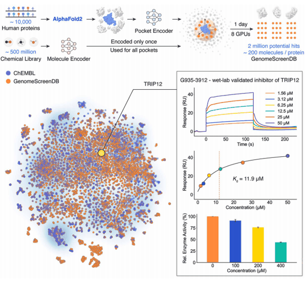 （来源：https://www.science.org/doi/10.1126/science.ads9530）