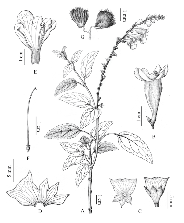 截屏2026-01-09 10.21.25.png