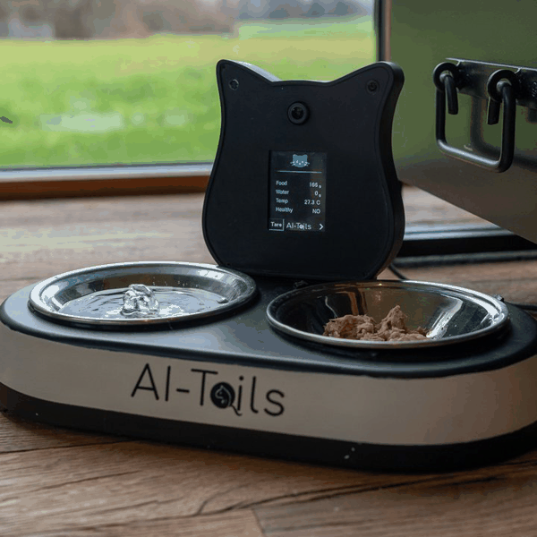 ▲ 图片来源：https://www.aitails.com/｜官网非常可爱，光标都会变成一个猫爪