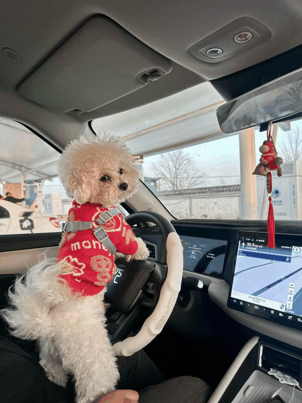 单菱在服务区充电。受访者供图