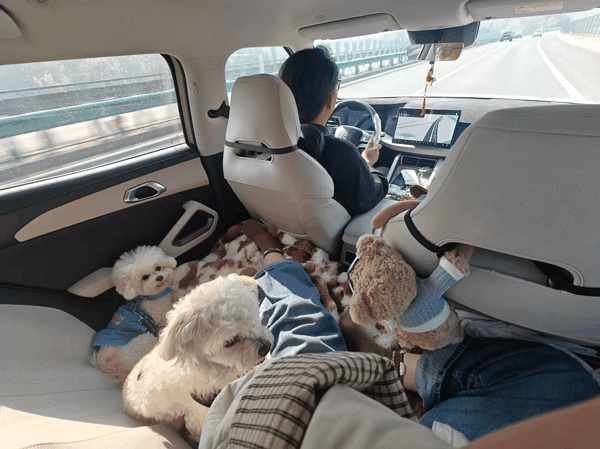 图片来源：受访者供图