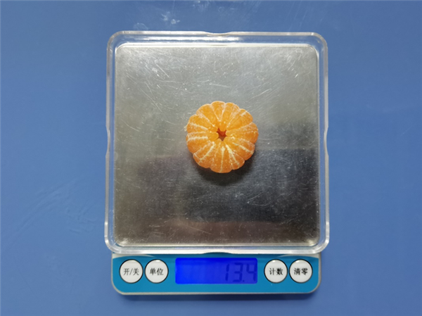 小砂糖橘 15 克左右（直径约 3 cm）。图片来源：作者提供