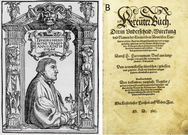 图4.4 莱昂哈特·福克斯的《植物史》。（A）1542年版的标题页.png