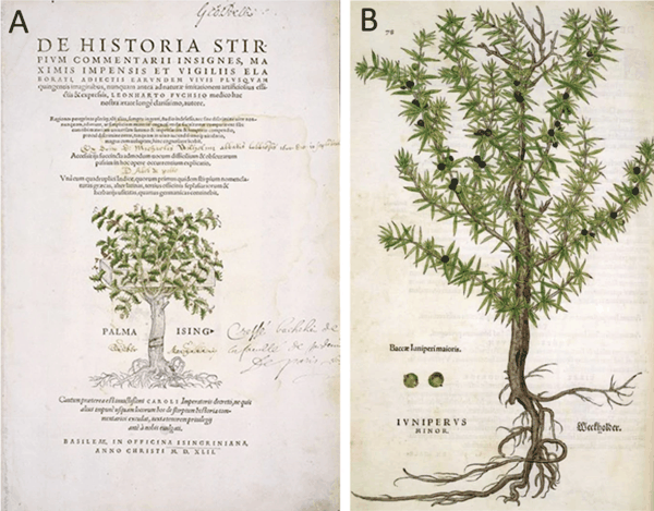 图4.3 莱昂哈特·福克斯的《植物史》。（A）1542年版的标题页.png