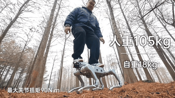 <图片来源@宇树科技>