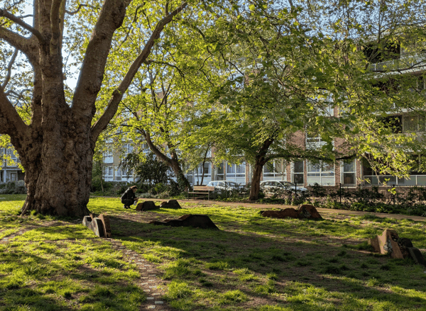 图6 树语 t-h-ree-listening-close.jpg