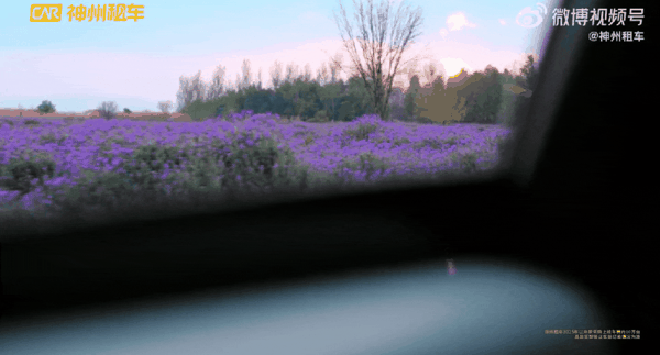 神州租车春游季