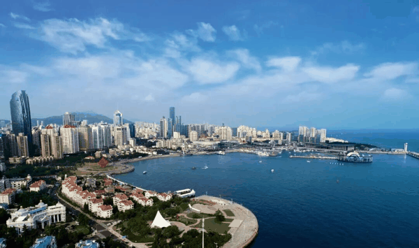 青岛前海一线。受访单位供图