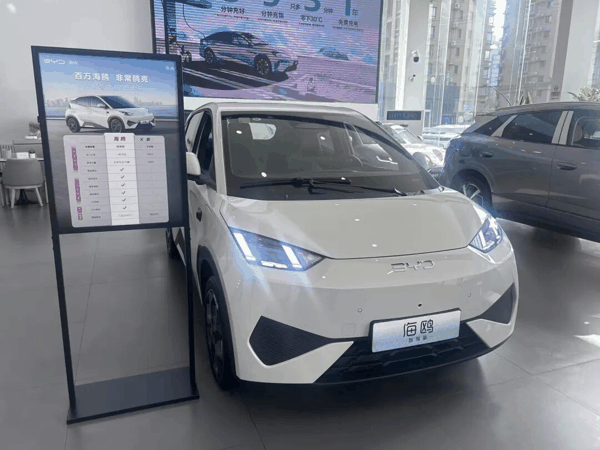 △比亚迪海鸥 图源：时代周报记者摄