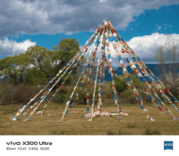 vivo X300 Ultra 85mm 长焦样张｜图片来源：极客公园