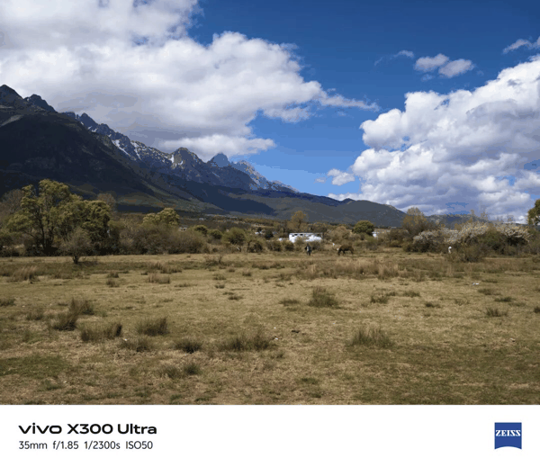 vivo X300 Ultra 85mm 长焦样张｜图片来源：极客公园