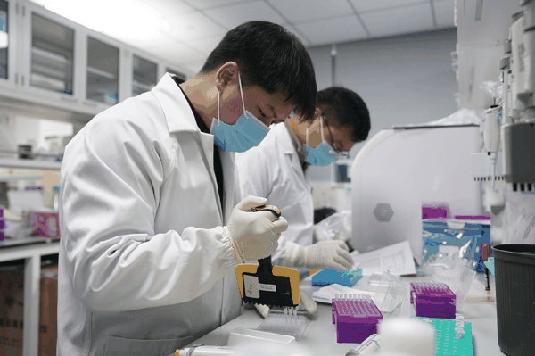 在信达生物制药（苏州）有限公司，实验人员提取信使核糖核酸。资料照片