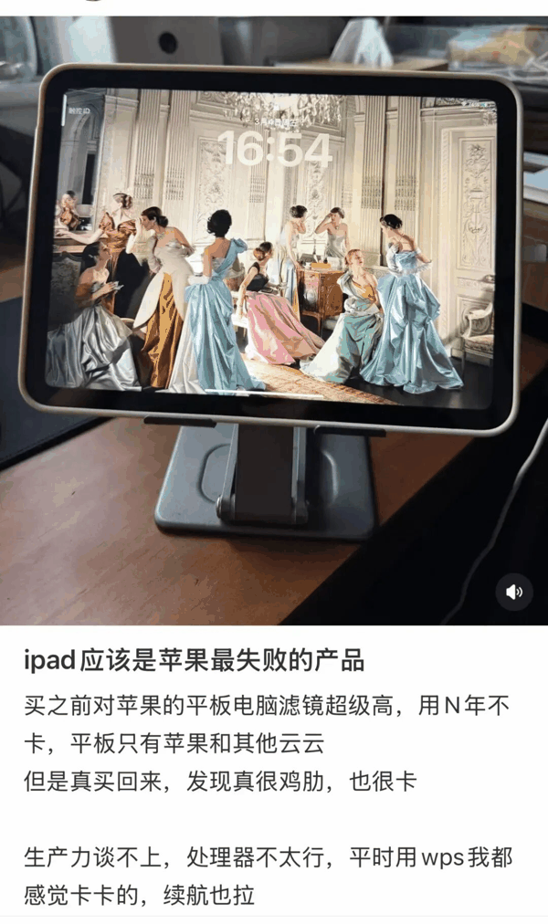 iPad遭到吐槽（图/小红书）