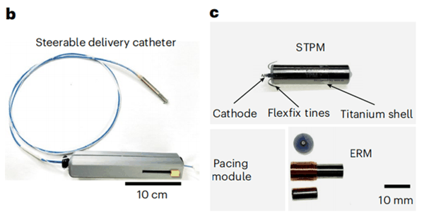 （来源：https://doi.org/10.1038/s41551-025-01604-4）