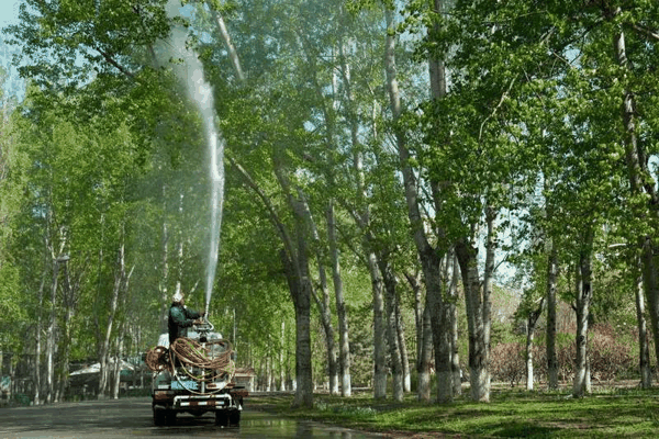 △4月11日，在北京奥林匹克森林公园，工作人员在用加入了凝絮剂的水喷洒杨树。