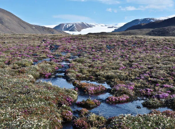 植物星球计划正式启动