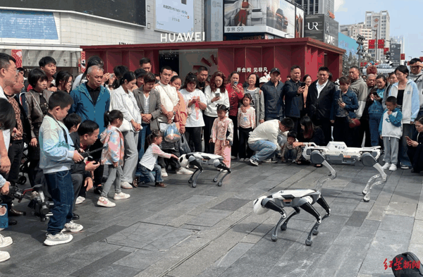 ▲“机器狗”与市民互动