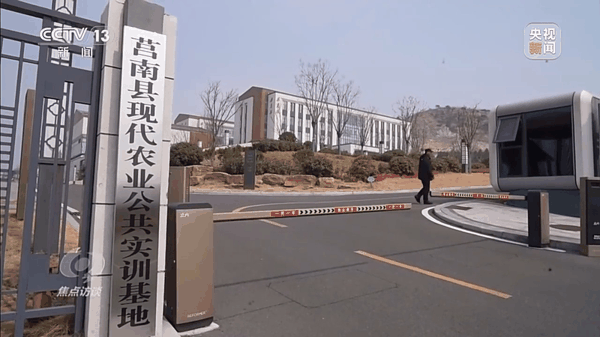 ▲莒南县现代农业公共实训基地。图/《焦点访谈》