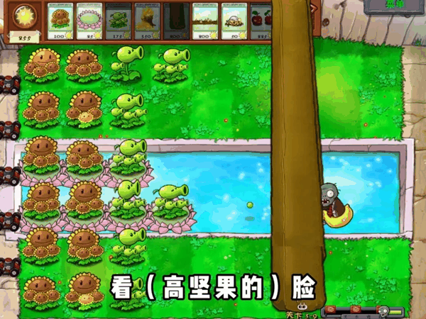 各种魔改《植物大战僵尸》已经成为任堂每天中午直播的固定项目之一，因为不玩就会被粉丝抱怨“没菜下饭”