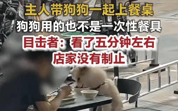 ▲餐厅顾客带狗上桌吃饭。图/荔枝新闻