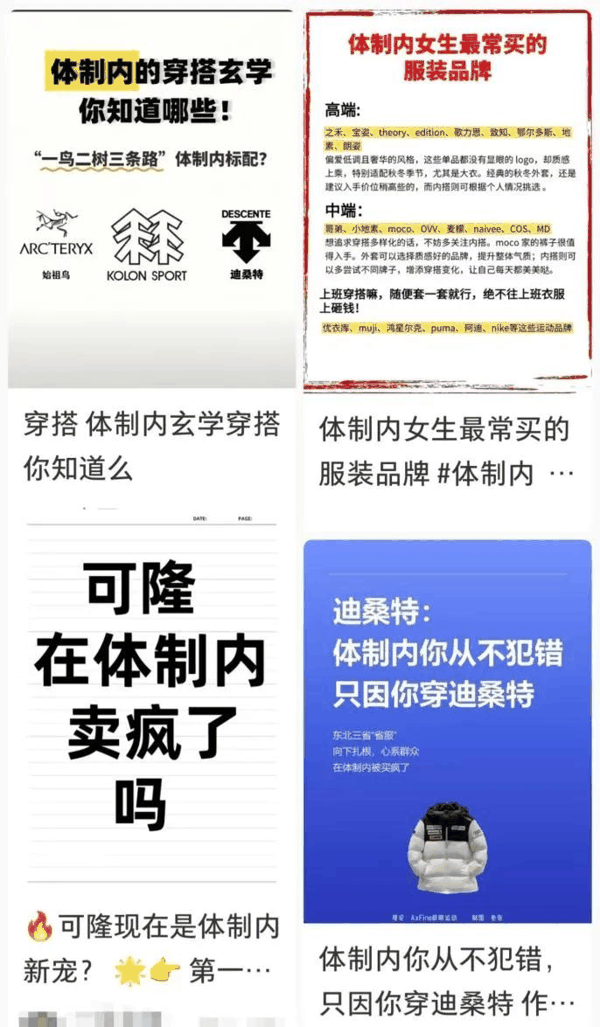 截图来源于小红书