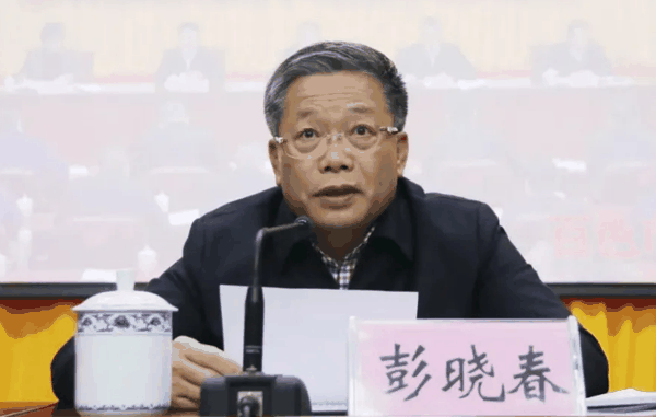 彭晓春（资料图）