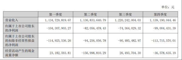 图源：青岛双星2025年年度报告