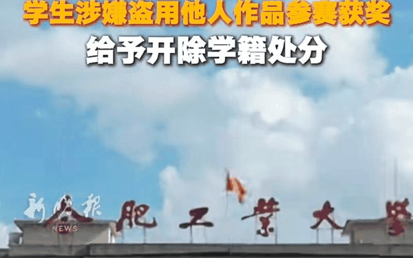 ▲合肥工业大学通报：涉嫌盗用他人作品参赛获奖的孙某某被开除学籍。图/新晚报