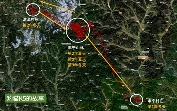 △ 豹猫K5的迁徙，图片：格物论坛/订阅号