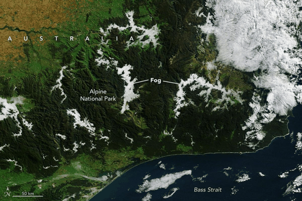 图为NASA的泰拉卫星在5月11日所拍摄的澳洲图片。(NASA Earth Observatory / Lauren Dauphin)