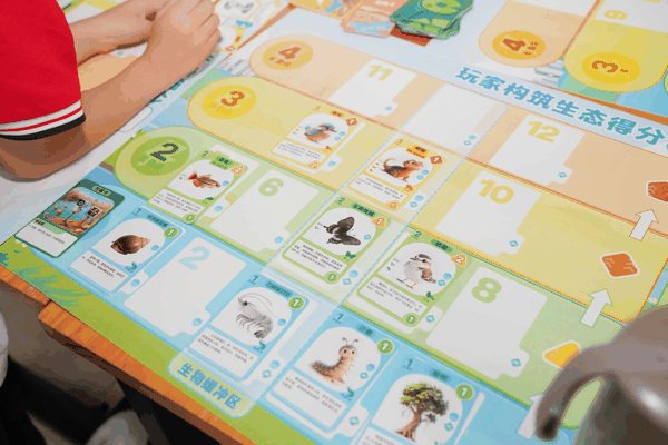 三七互娱主题桌游《湿地守护者》里的生物卡，图片来源：受访者提供