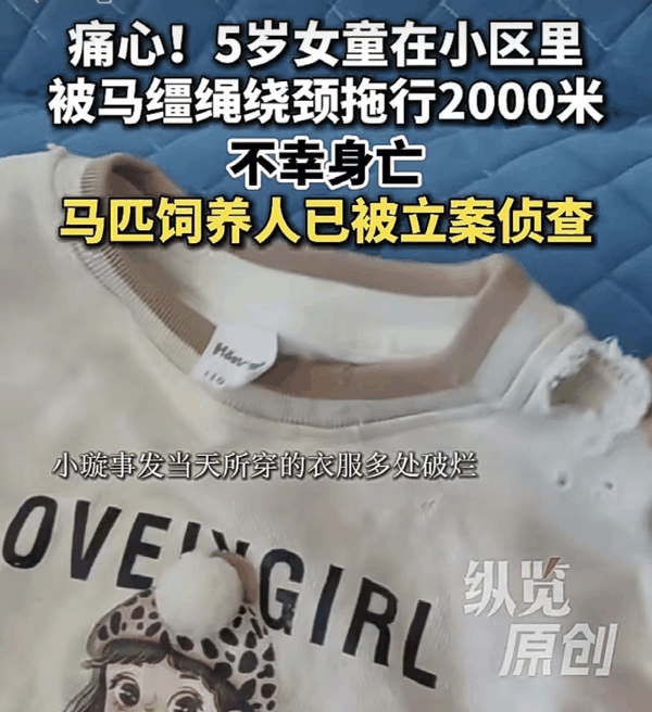 ▲受惊马匹闯入小区致死5岁女童，引发社会关注。图/河北新闻网